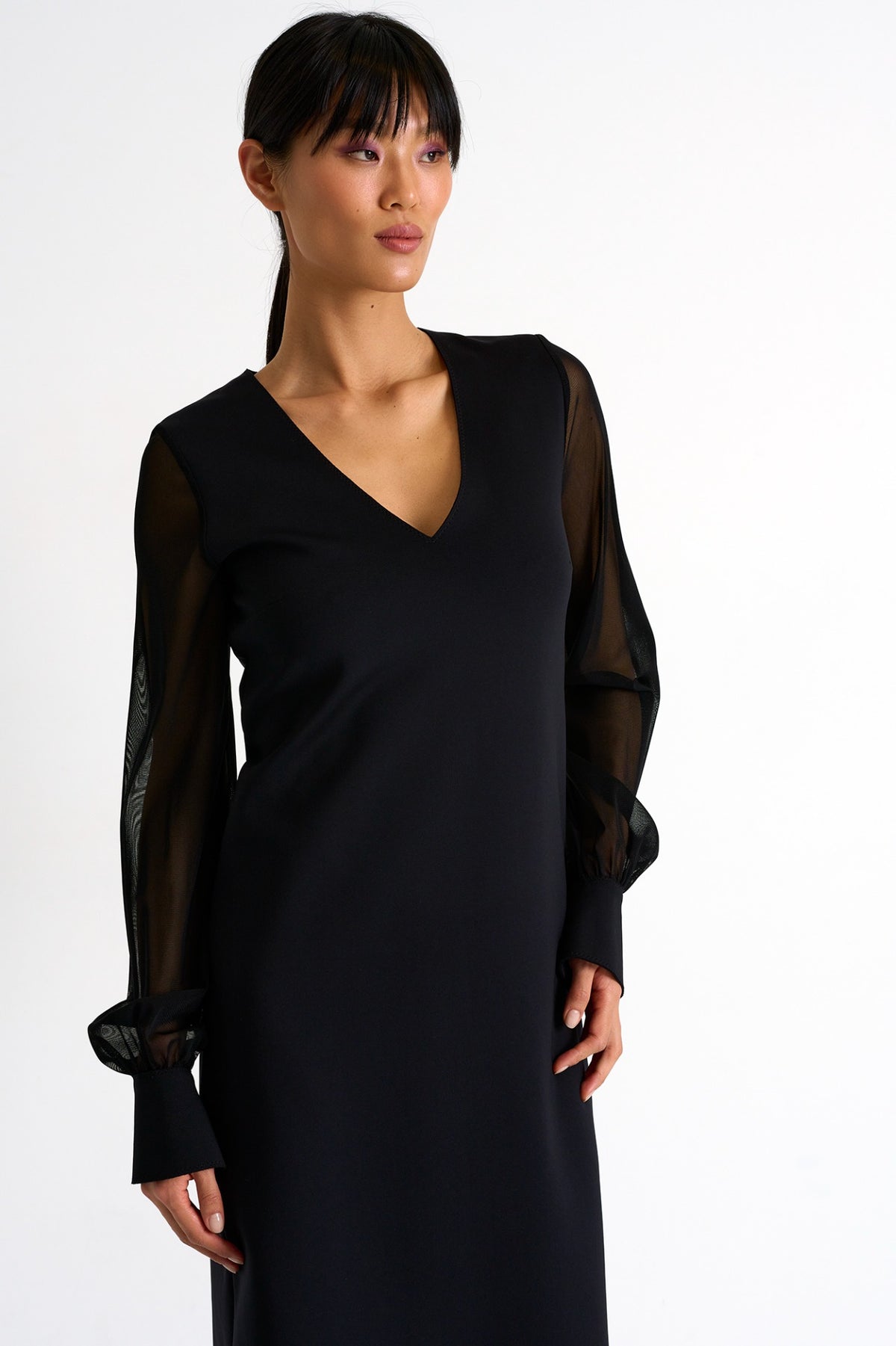 Sheer Long Sleeve Dress - Black