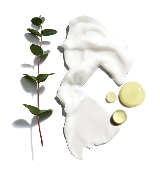 Beard Lube Conditioning Shave 3oz-OS-JACK BLACK-Levy's Clothier