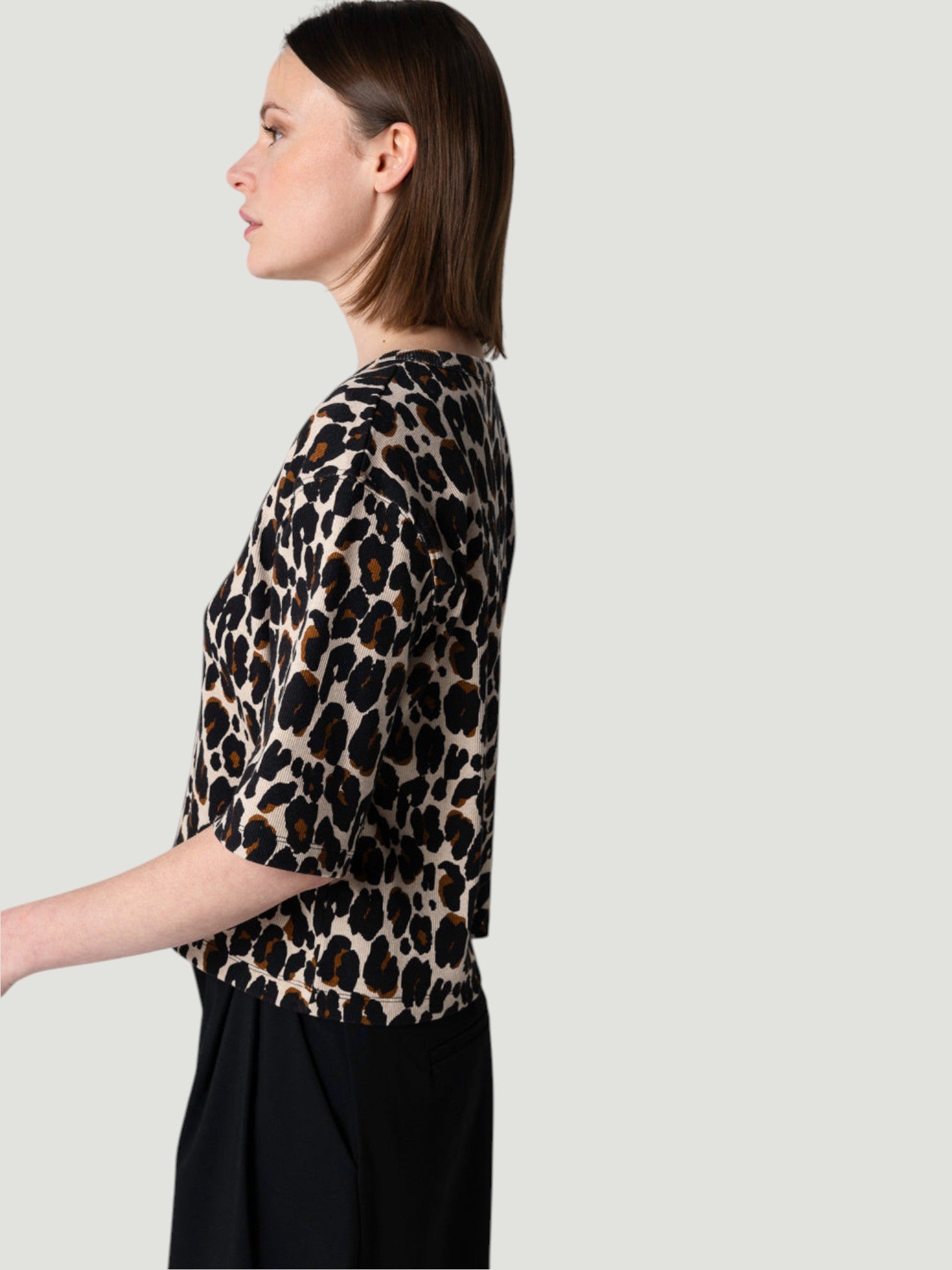 Leopard Round-Neck Short-Sleeve Cotton T-Shirt - Ecru Chine-XS-MAJESTIC TEES-Levy's Clothier